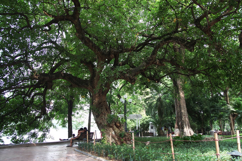 Những thắng cảnh bên hồ Gươm gây tranh cãi về vị trí đặt ga tàu điện ngầm - 9 Những thắng cảnh bên hồ Gươm gây tranh cãi về vị trí đặt ga tàu điện ngầm - 9