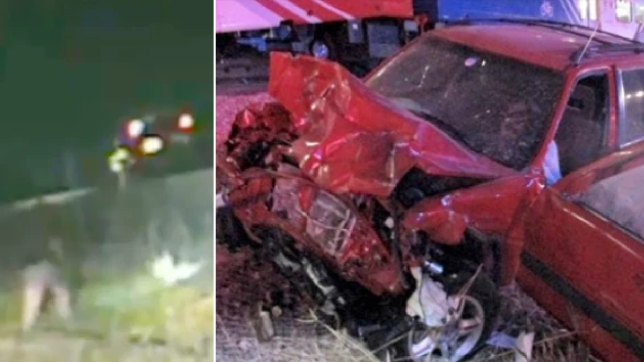 “Thót tim” khoảnh khắc cảnh sát Mỹ cứu người bất tỉnh trước mũi tàu trong tích tắc