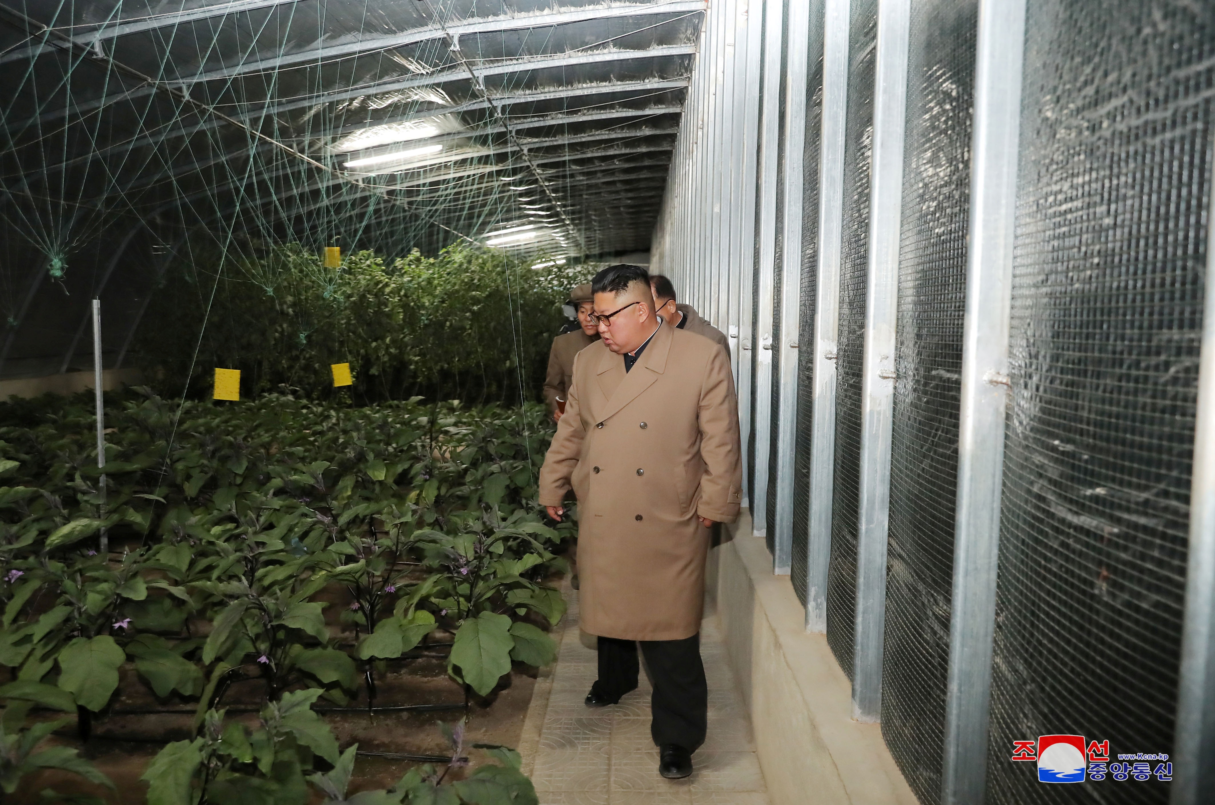 Ông Kim Jong-un thăm trang trại trồng rau trước nguy cơ thiếu lương thực