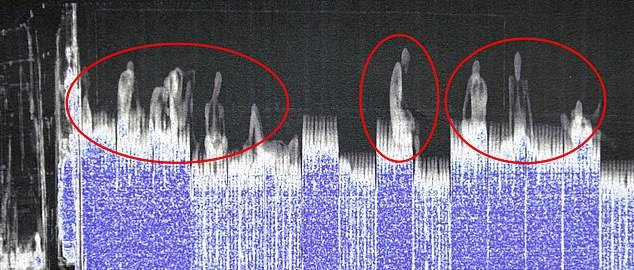 Mánh khóe đưa người trái phép vào Anh bằng thùng đông lạnh