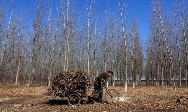 Báo Trung Quốc đòi Anh chịu trách nhiệm vụ 39 người chết trong xe tải