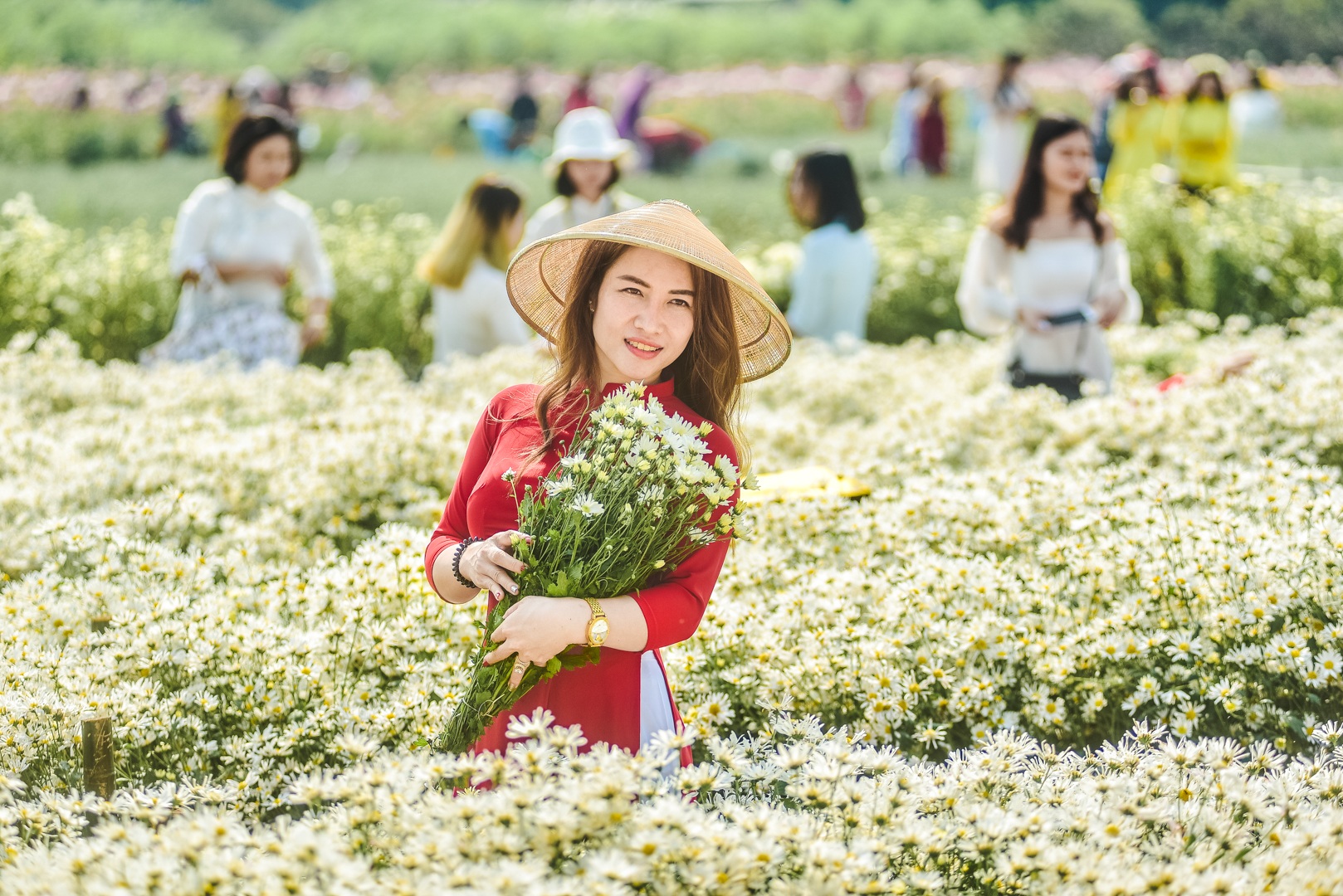 Nhọc nhằn chụp ảnh cùng cúc hoạ mi đầu mùa - 10