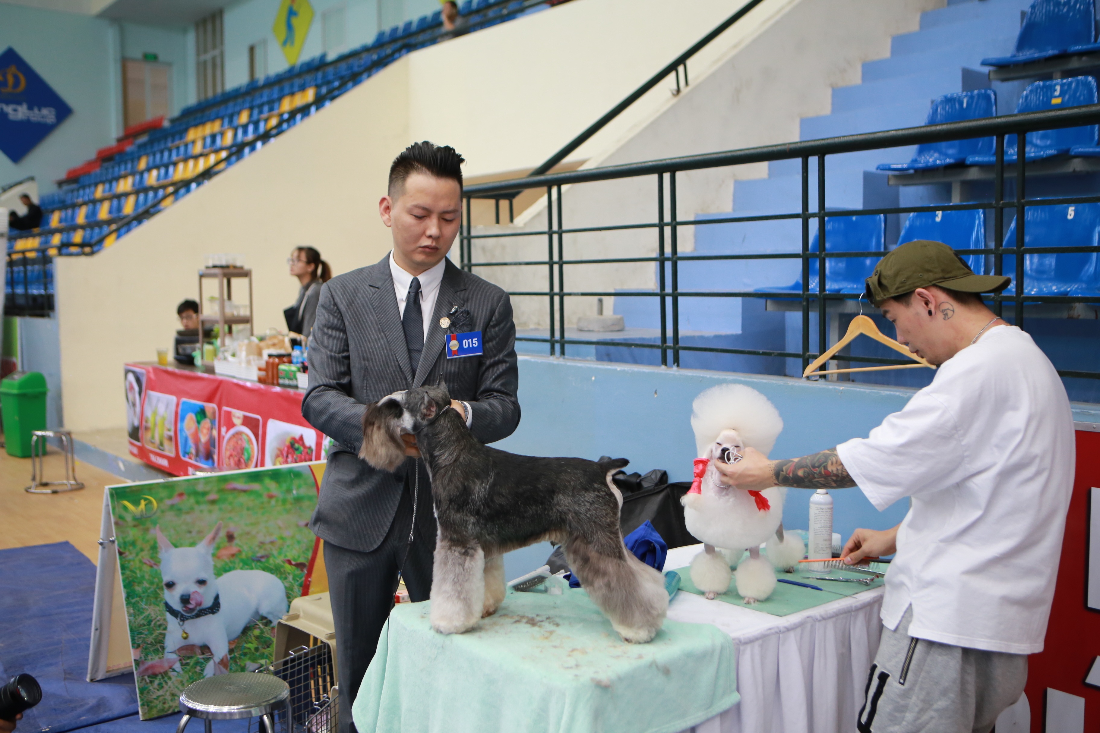 Hơn 200 chú chó quý tộc giá nghìn USD thi tài giành danh hiệu tại Hà Nội - 8 Hơn 200 chú chó quý tộc giá nghìn USD thi tài giành danh hiệu tại Hà Nội - 8