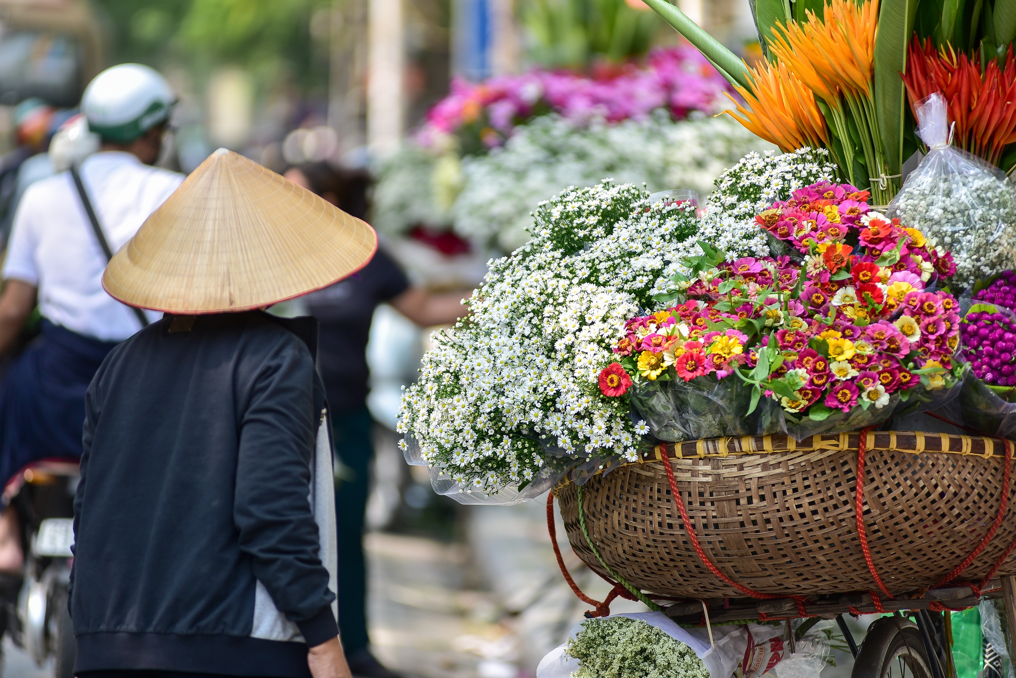 Dạo quanh Hà Nội ngắm họa mi dịu dàng xuống phố - 6 Dạo quanh Hà Nội ngắm họa mi dịu dàng xuống phố - 6