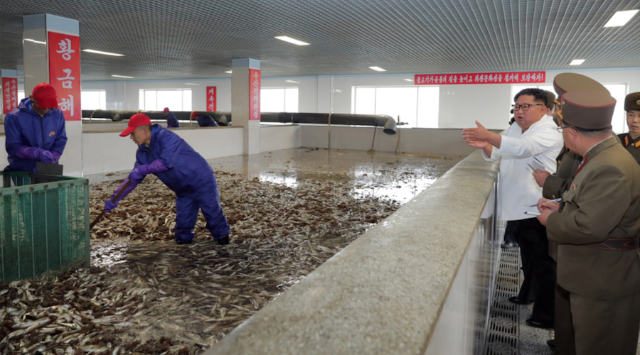 Ông Kim Jong-un phê bình gay gắt cấp dưới trong chuyến thị sát