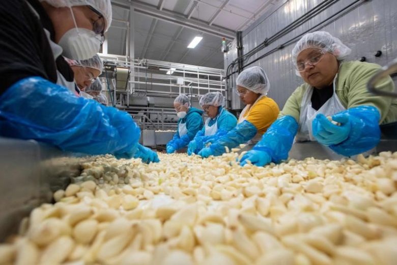 Trung Quốc cam kết mua 50 tỷ USD nông sản Mỹ: Nói thì dễ