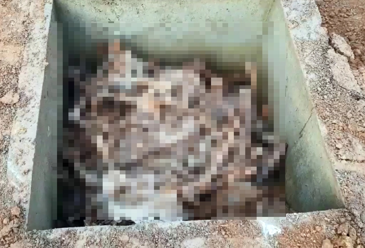 Hàn Quốc phát hiện mộ tập thể chứa 80 bộ hài cốt