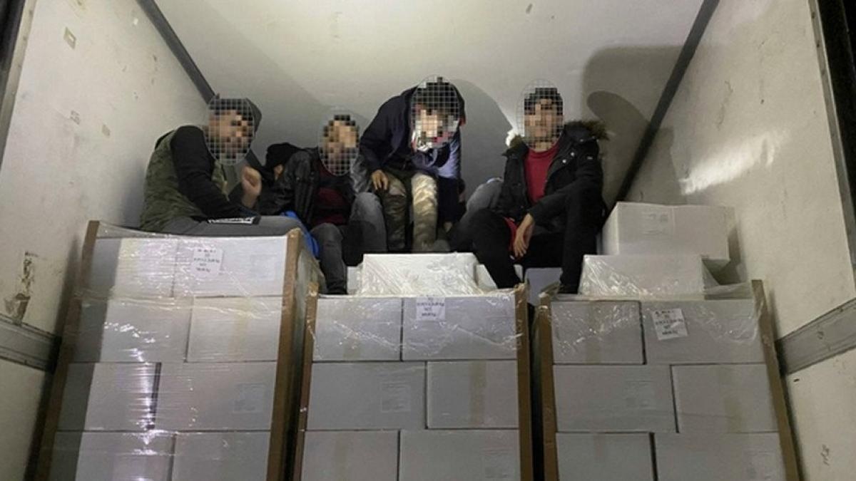 11 người di cư thoát chết trong gang tấc nhờ đập cửa thùng đông lạnh