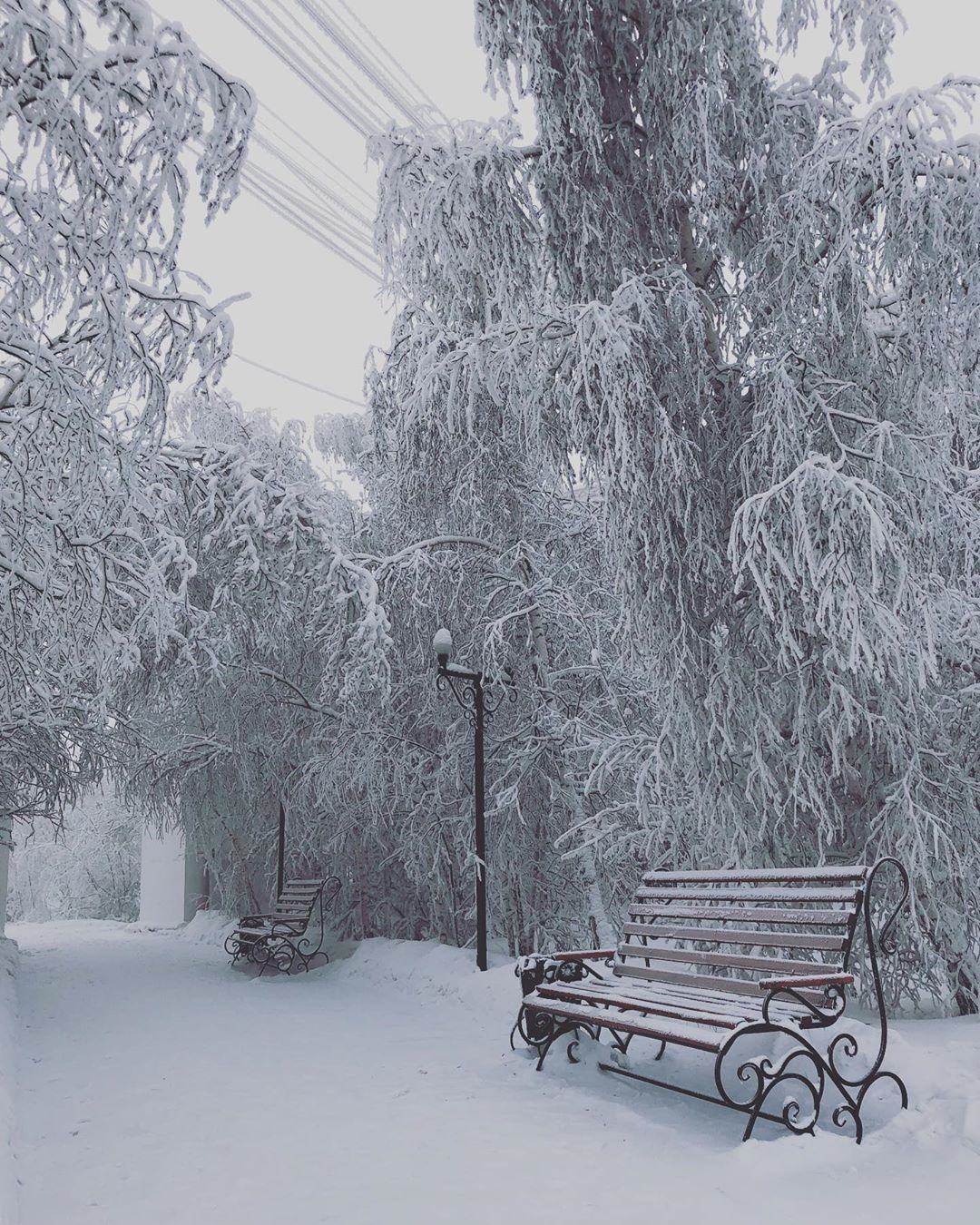 Cuộc sống trong nhiệt độ -40 độ C tại thành phố lạnh nhất thế giới