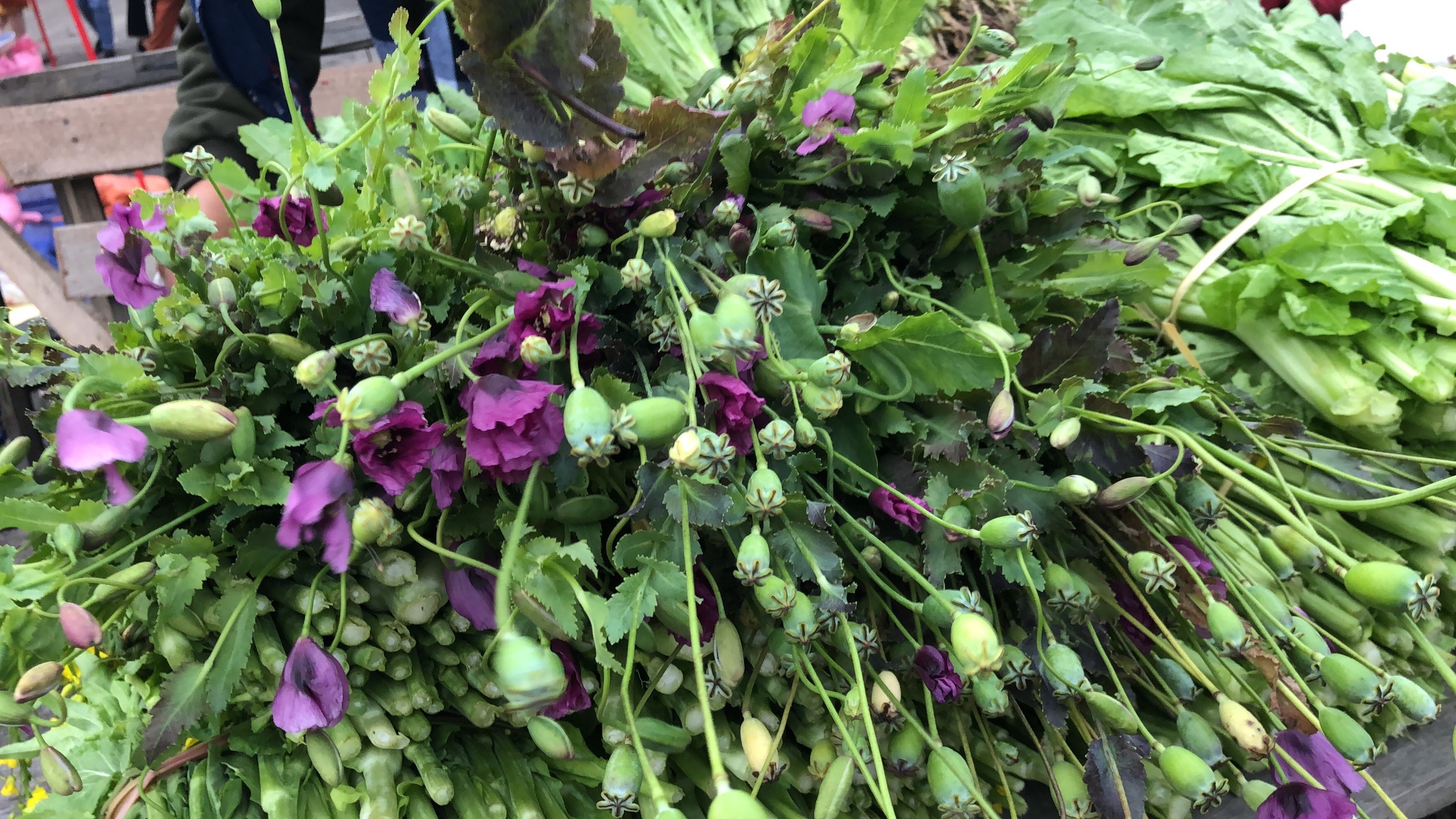 C&acirc;y anh t&uacute;c được b&agrave;y b&aacute;n c&ocirc;ng khai nơi chợ bi&ecirc;n giới L&agrave;o - Việt - 3