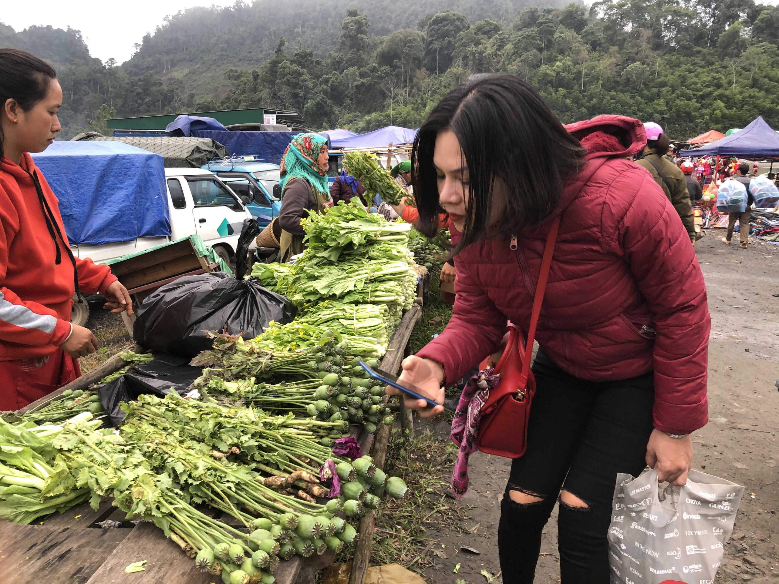 C&acirc;y anh t&uacute;c được b&agrave;y b&aacute;n c&ocirc;ng khai nơi chợ bi&ecirc;n giới L&agrave;o - Việt - 6