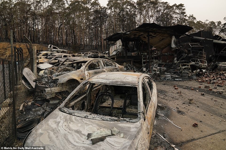 400 triệu động vật bị thiêu hủy, Australia “gồng mình” chiến đấu với cháy rừng