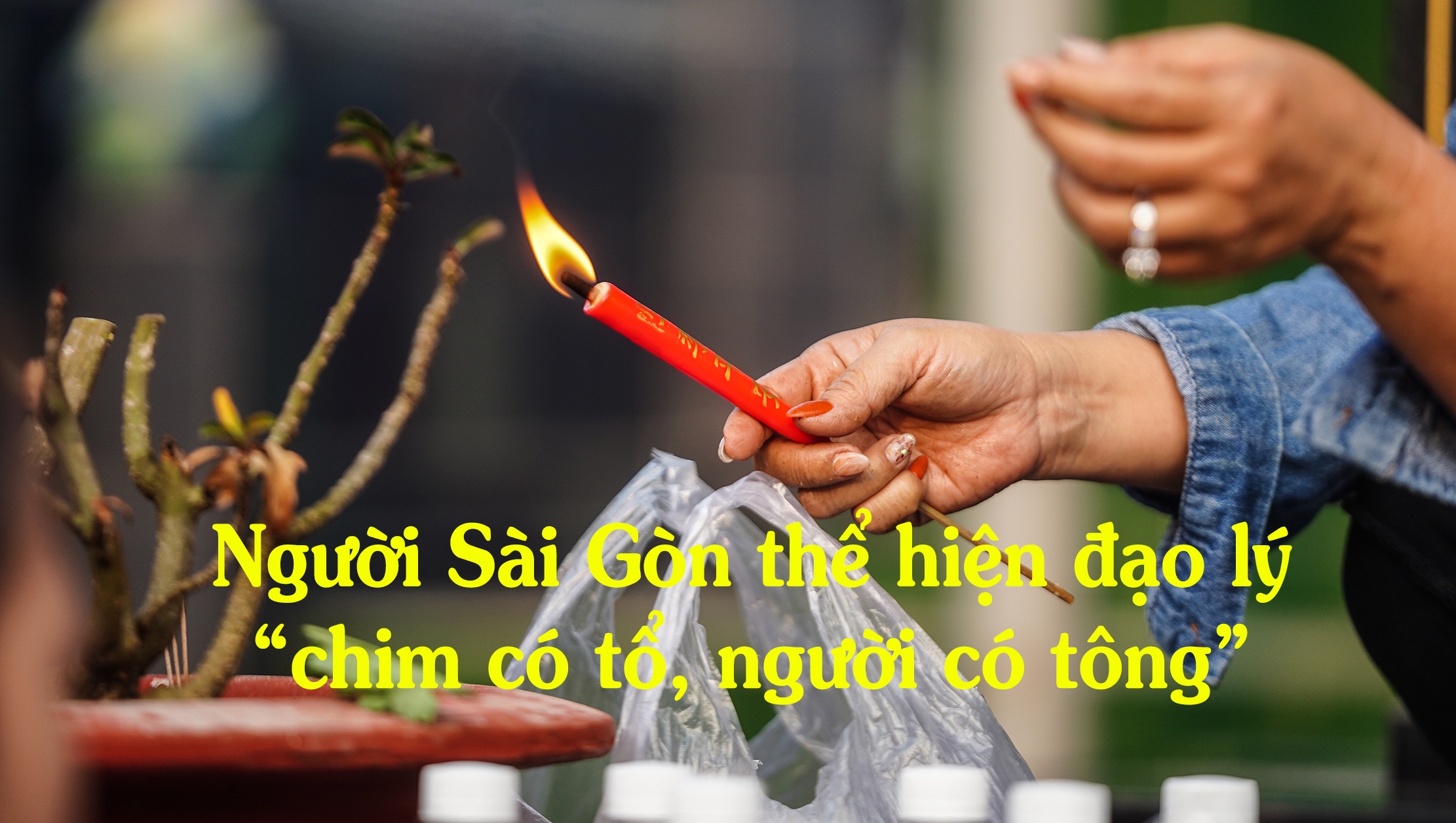 Người Sài Gòn thể hiện đạo lý “chim có tổ, người có tông” ngày giáp