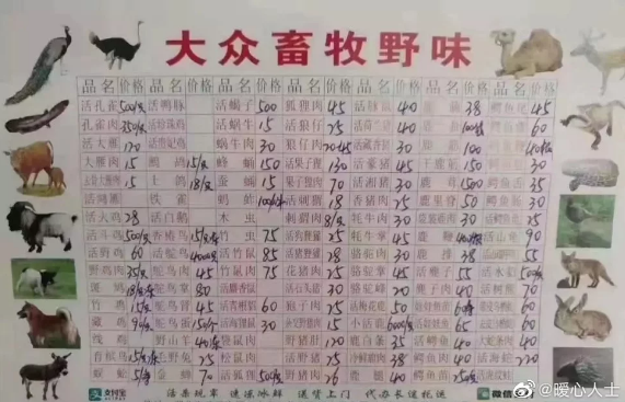 Nguồn cơn khiến “cơn bão” virus corona càn quét Trung Quốc