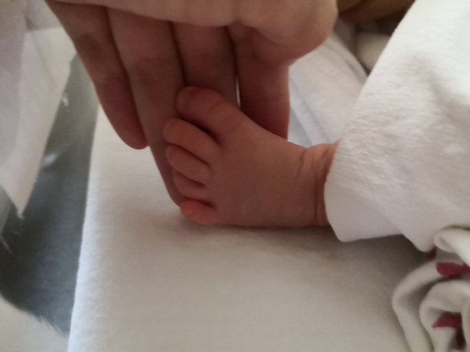 Lặn lội sang Mỹ tìm tinh trùng “cực phẩm”