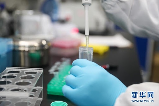 Trung Quốc sàng lọc thành công thuốc ức chế virus corona