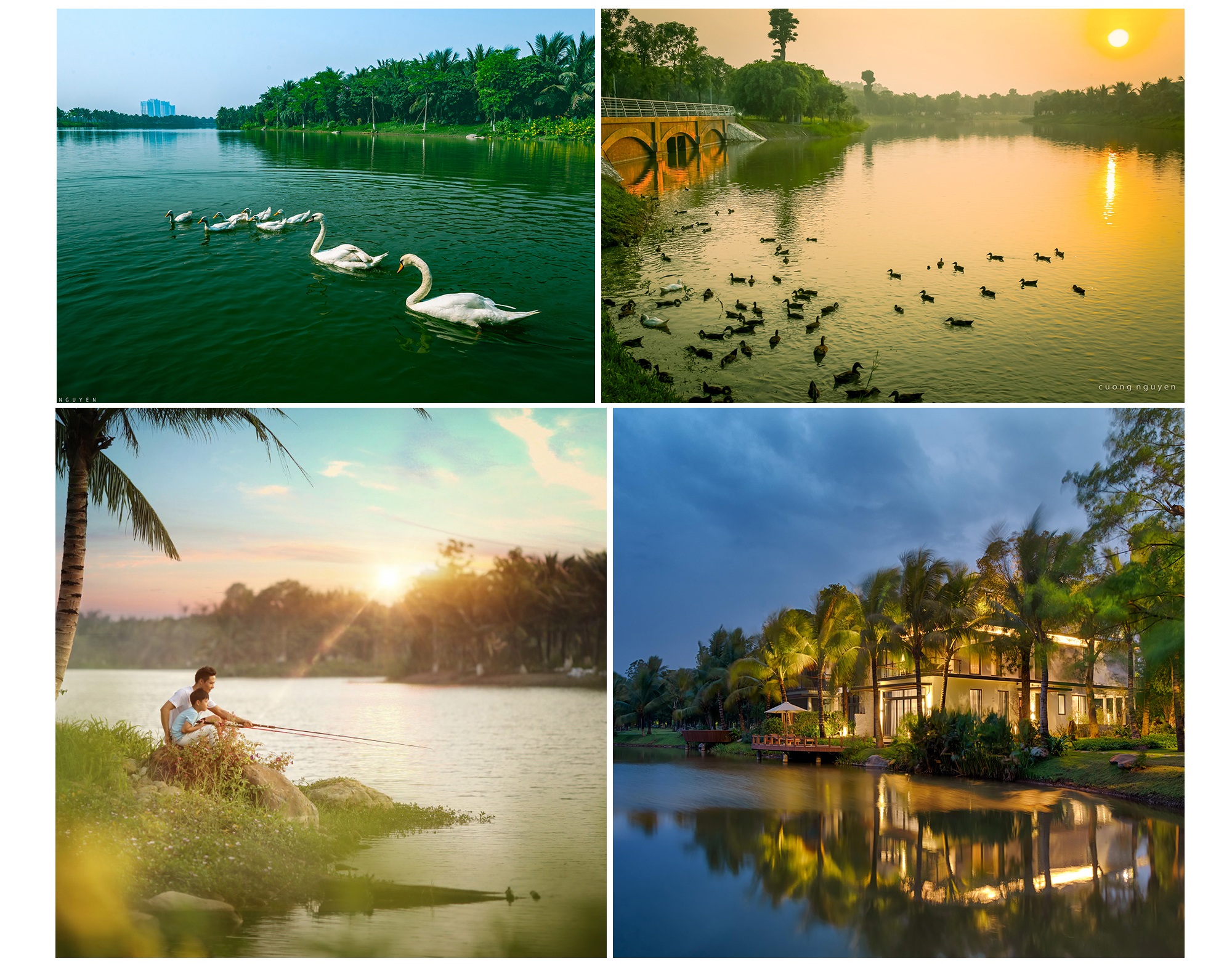 Biệt thự đảo Ecopark Grand – The Island kiến tạo chuẩn sống wellness - 10 Biệt thự đảo Ecopark Grand – The Island kiến tạo chuẩn sống wellness - 10