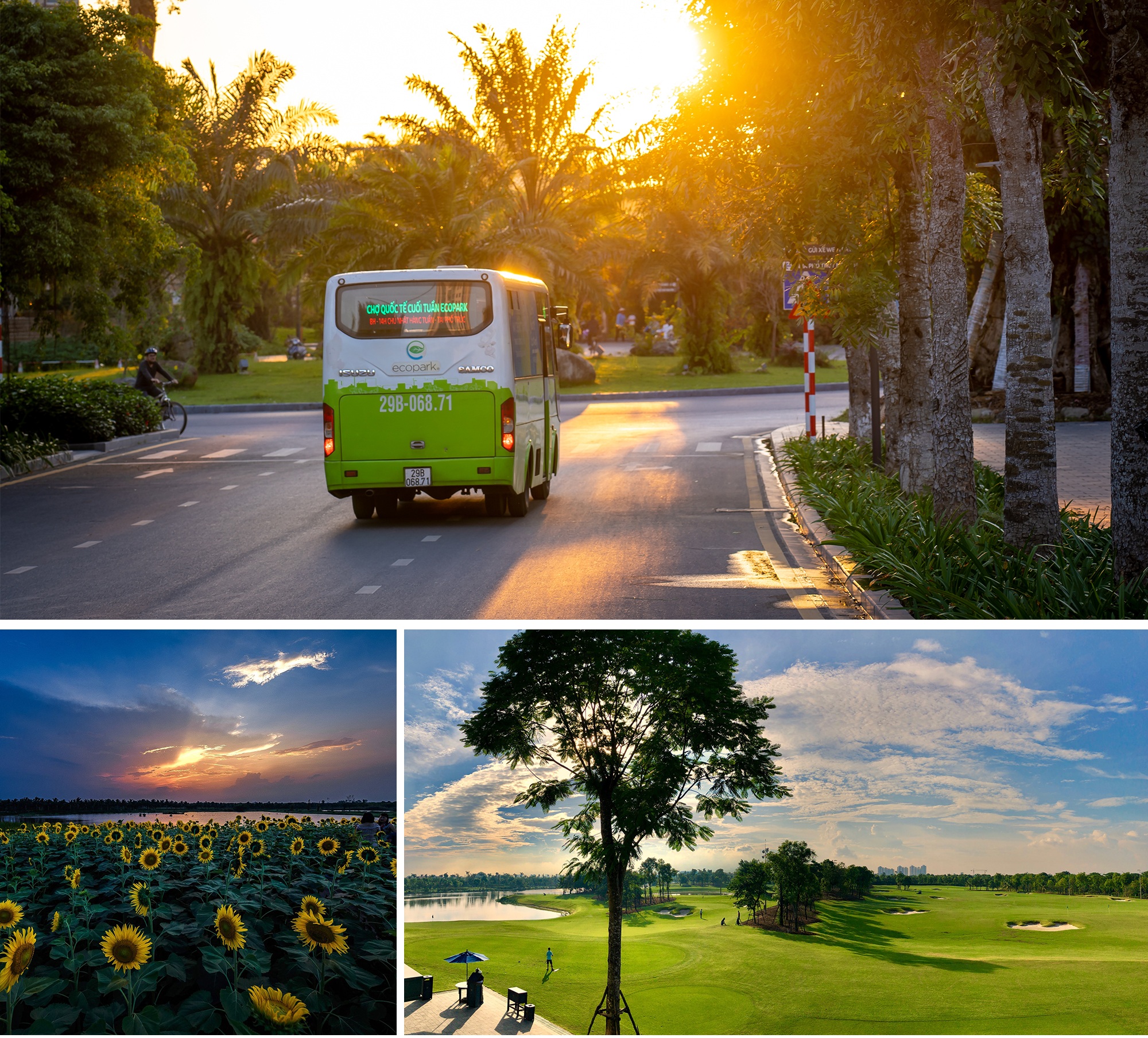 Biệt thự đảo Ecopark Grand – The Island kiến tạo chuẩn sống wellness - 13 Biệt thự đảo Ecopark Grand – The Island kiến tạo chuẩn sống wellness - 13