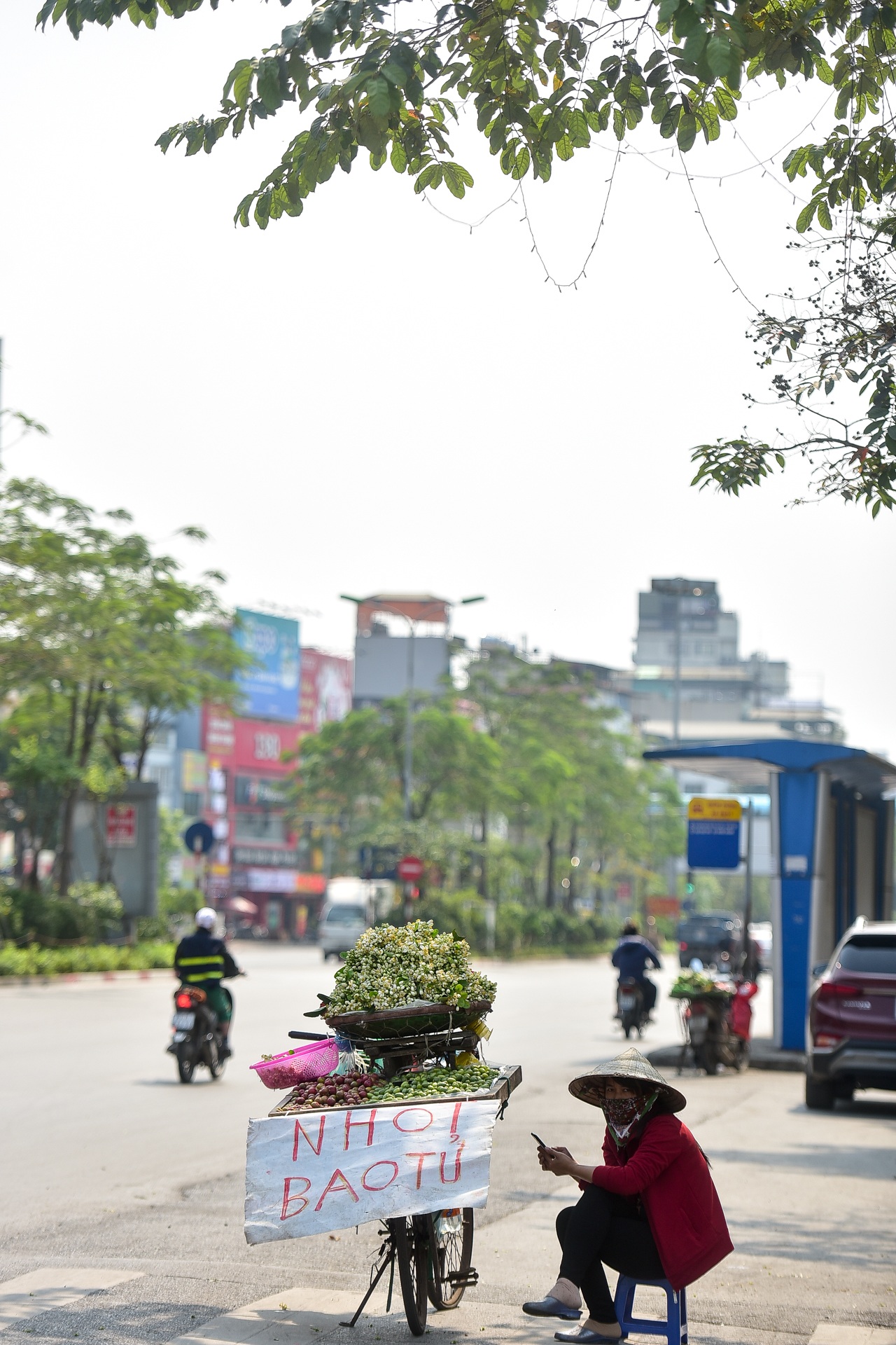 Hà Nội: Nồng nàn hương hoa bưởi đầu mùa - 10