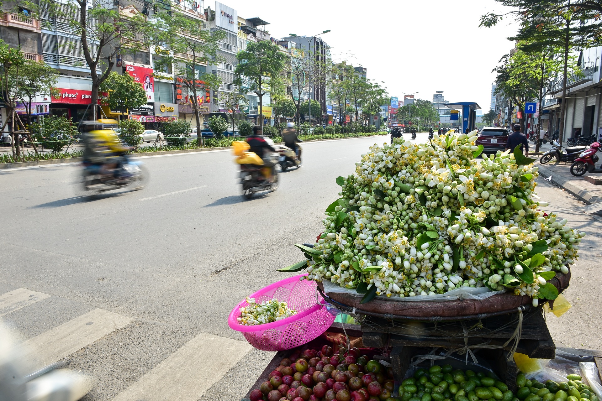 Hà Nội: Nồng nàn hương hoa bưởi đầu mùa - 2