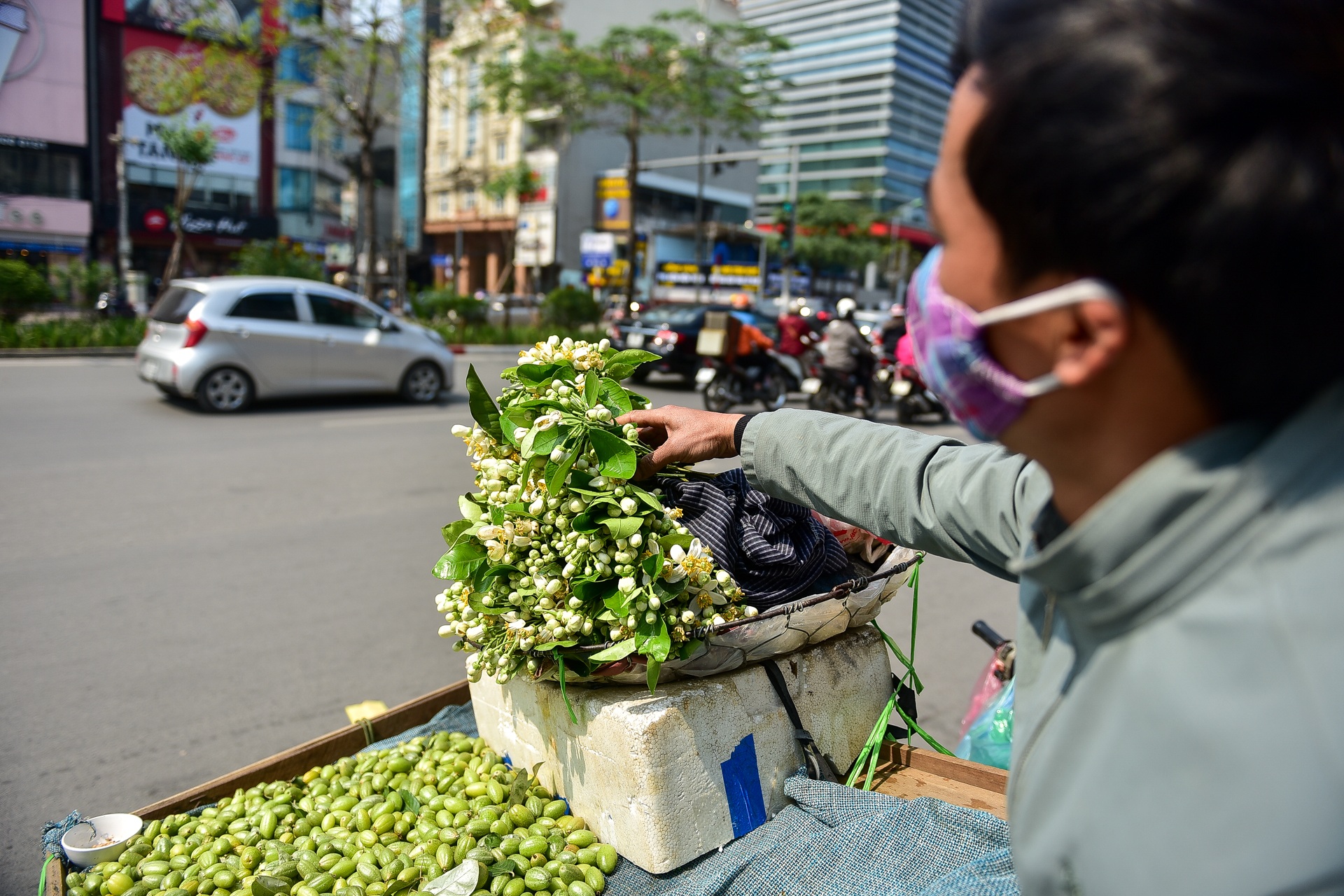 Hà Nội: Nồng nàn hương hoa bưởi đầu mùa - 6