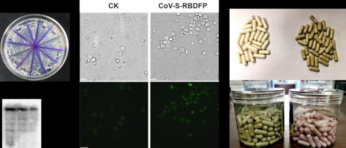 Đại học Trung Quốc tuyên bố điều chế thành công vắc-xin chống virus corona - 1 Đại học Trung Quốc tuyên bố điều chế thành công vắc-xin chống virus corona