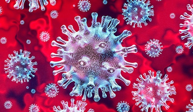 Nhà Trắng đề nghị cấp khẩn cấp 2,5 tỷ USD đối phó với Covid-19