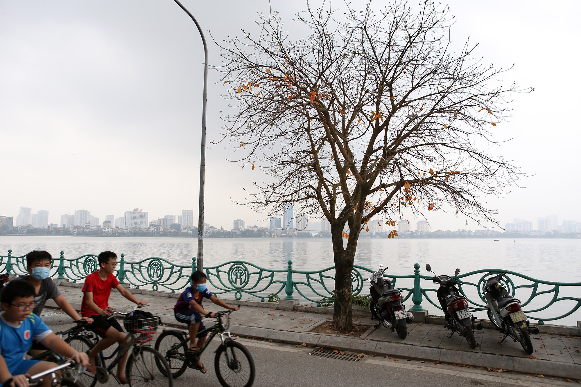 Hà Nội: Ngắm hồ Tây đẹp lãng mạn vào mùa cây thay lá - 1 Hà Nội: Ngắm hồ Tây đẹp lãng mạn vào mùa cây thay lá - 1