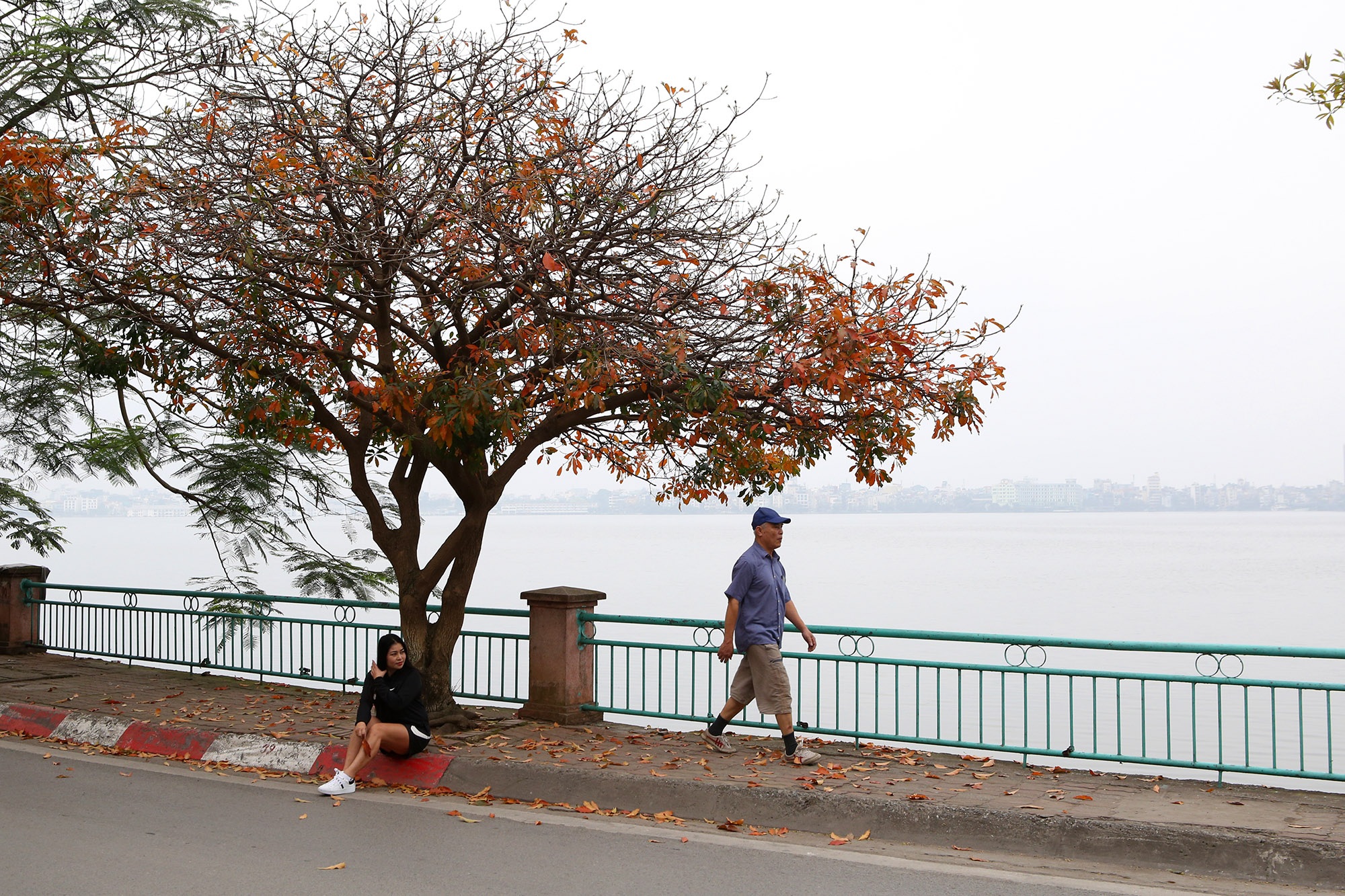 Hà Nội: Ngắm hồ Tây đẹp lãng mạn vào mùa cây thay lá - 11