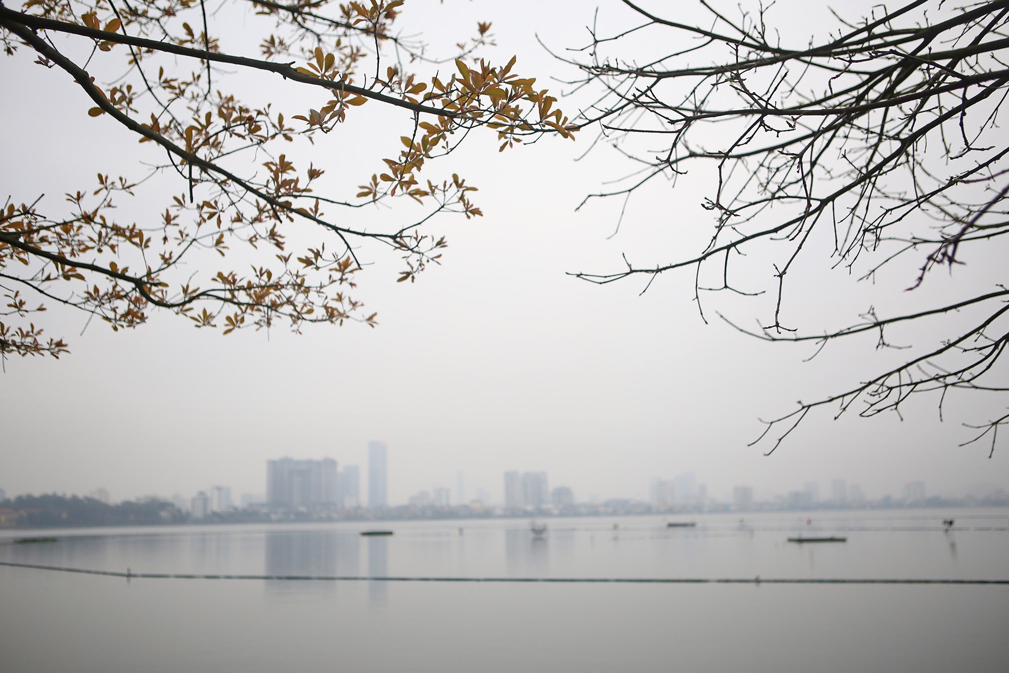 Hà Nội: Ngắm hồ Tây đẹp lãng mạn vào mùa cây thay lá - 15