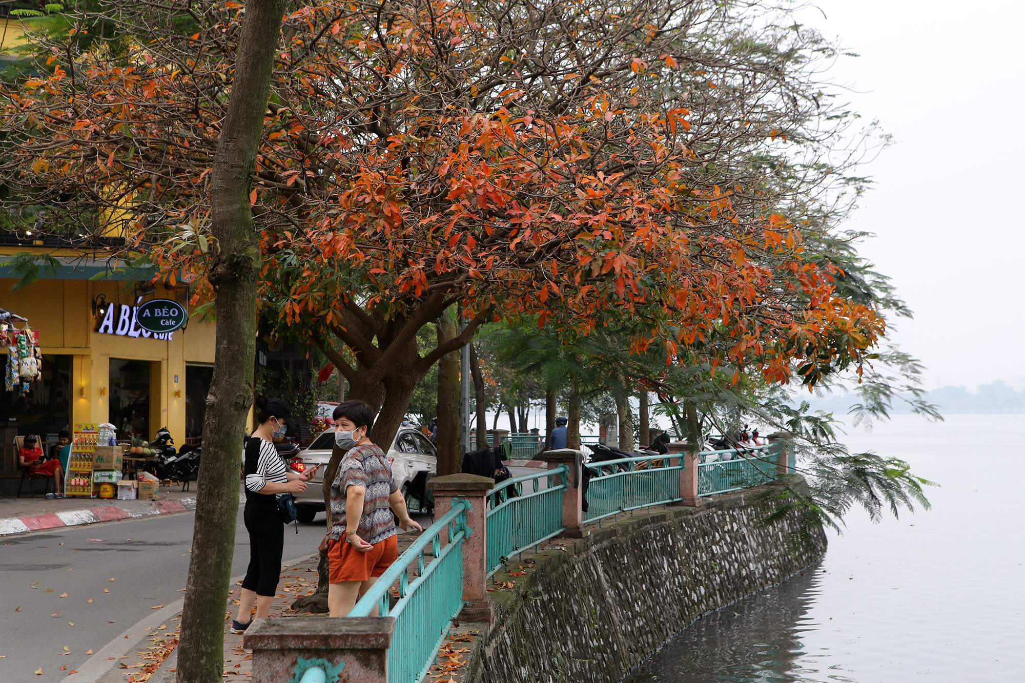 Hà Nội: Ngắm hồ Tây đẹp lãng mạn vào mùa cây thay lá - 3 Hà Nội: Ngắm hồ Tây đẹp lãng mạn vào mùa cây thay lá - 3