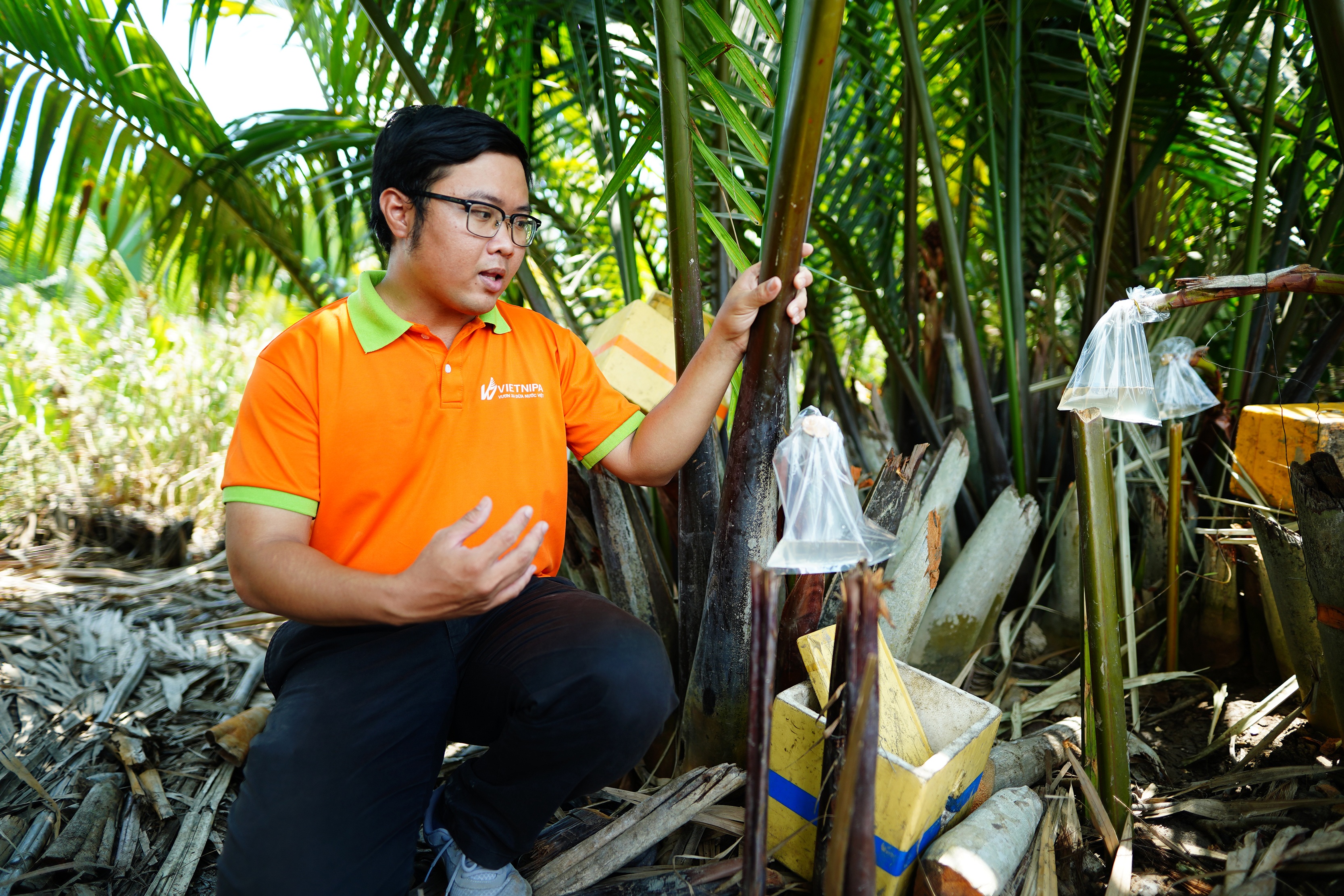 Thanh niên bỏ phố về quê khởi nghiệp với mật dừa nước - 11