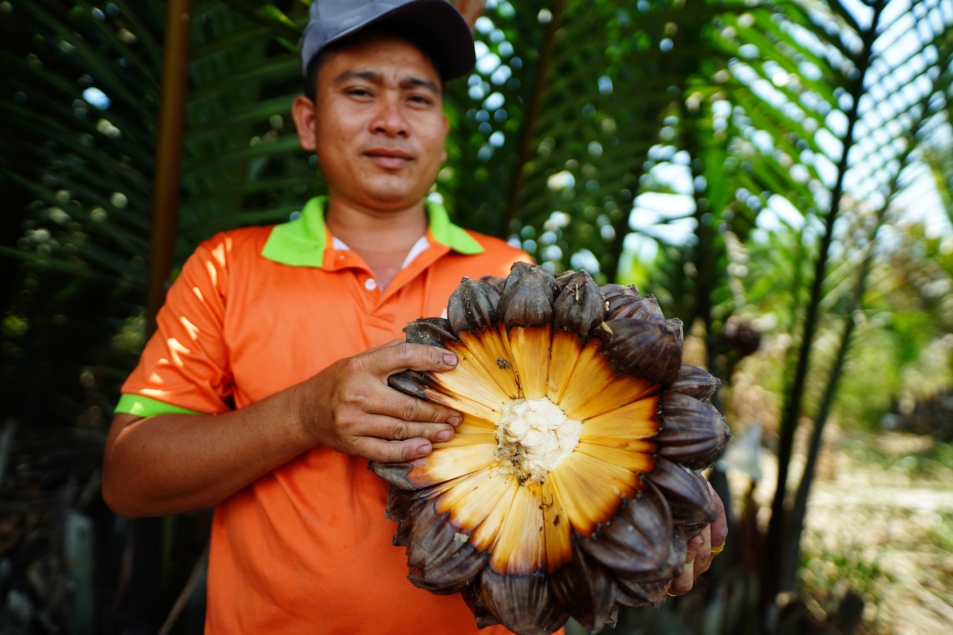 Thanh niên bỏ phố về quê khởi nghiệp với mật dừa nước - 6