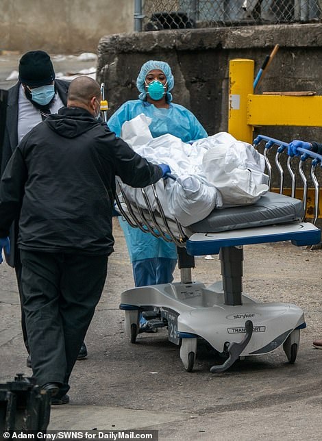 New York dùng bìa cứng che thi thể đưa lên xe đông lạnh