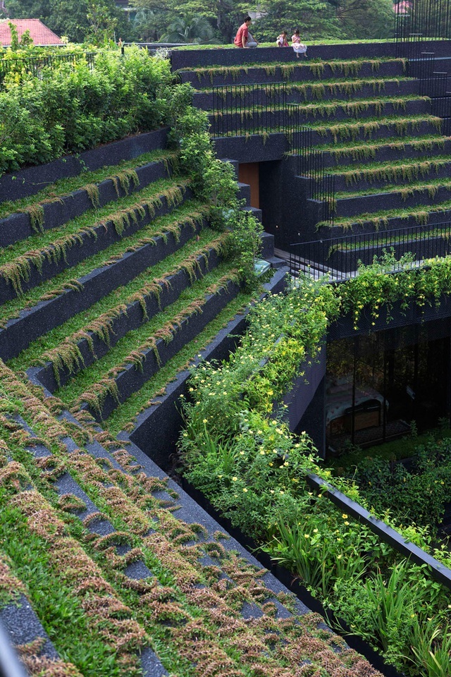 Những tòa nhà “phủ kín” cây xanh ấn tượng thế giới, Việt Nam cũng góp mặt - 4