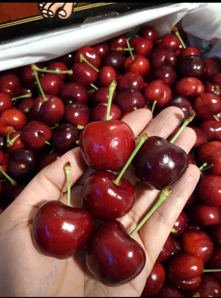 Hết thời gi&aacute; rẻ, nh&agrave; gi&agrave;u Việt ăn cherry Mỹ 1 triệu đồng/kg - 2