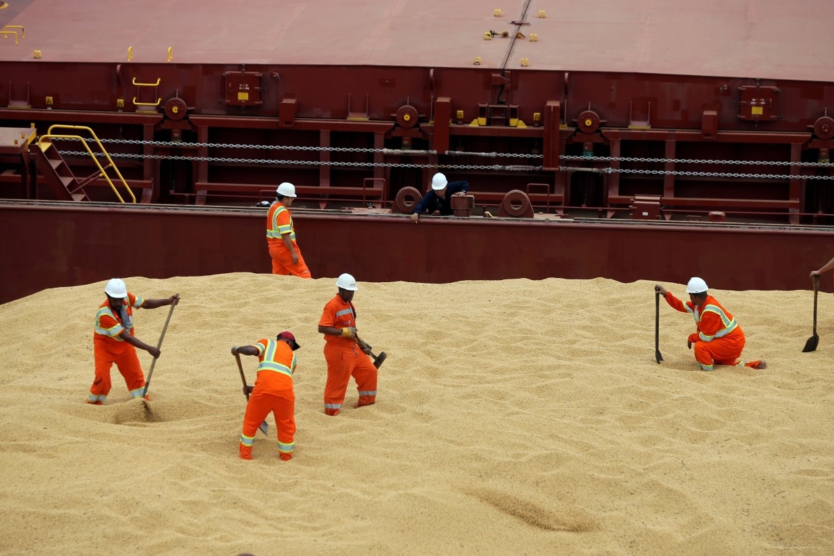 Trung Quốc bất ngờ ngừng mua nông sản Mỹ giữa lúc căng thẳng