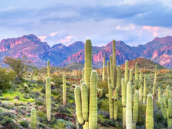 13 sa mạc đẹp nhất thế giới | Báo Dân trí