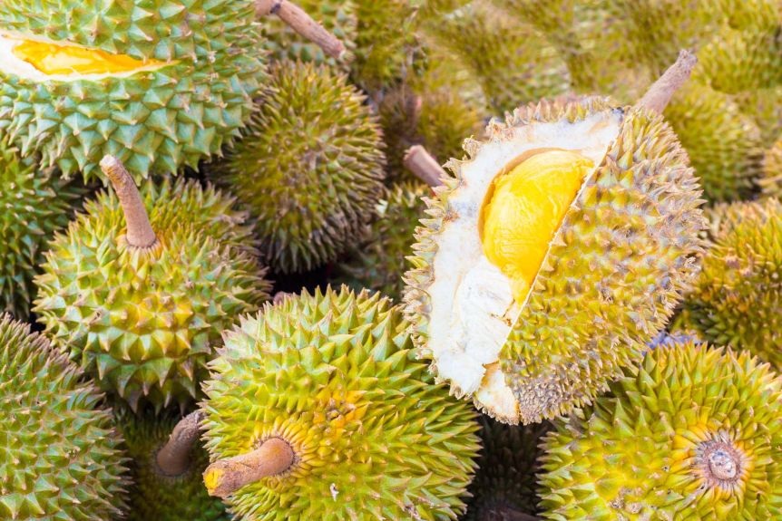 Hàng chục người sơ tán vì bưu kiện sầu riêng tại Đức