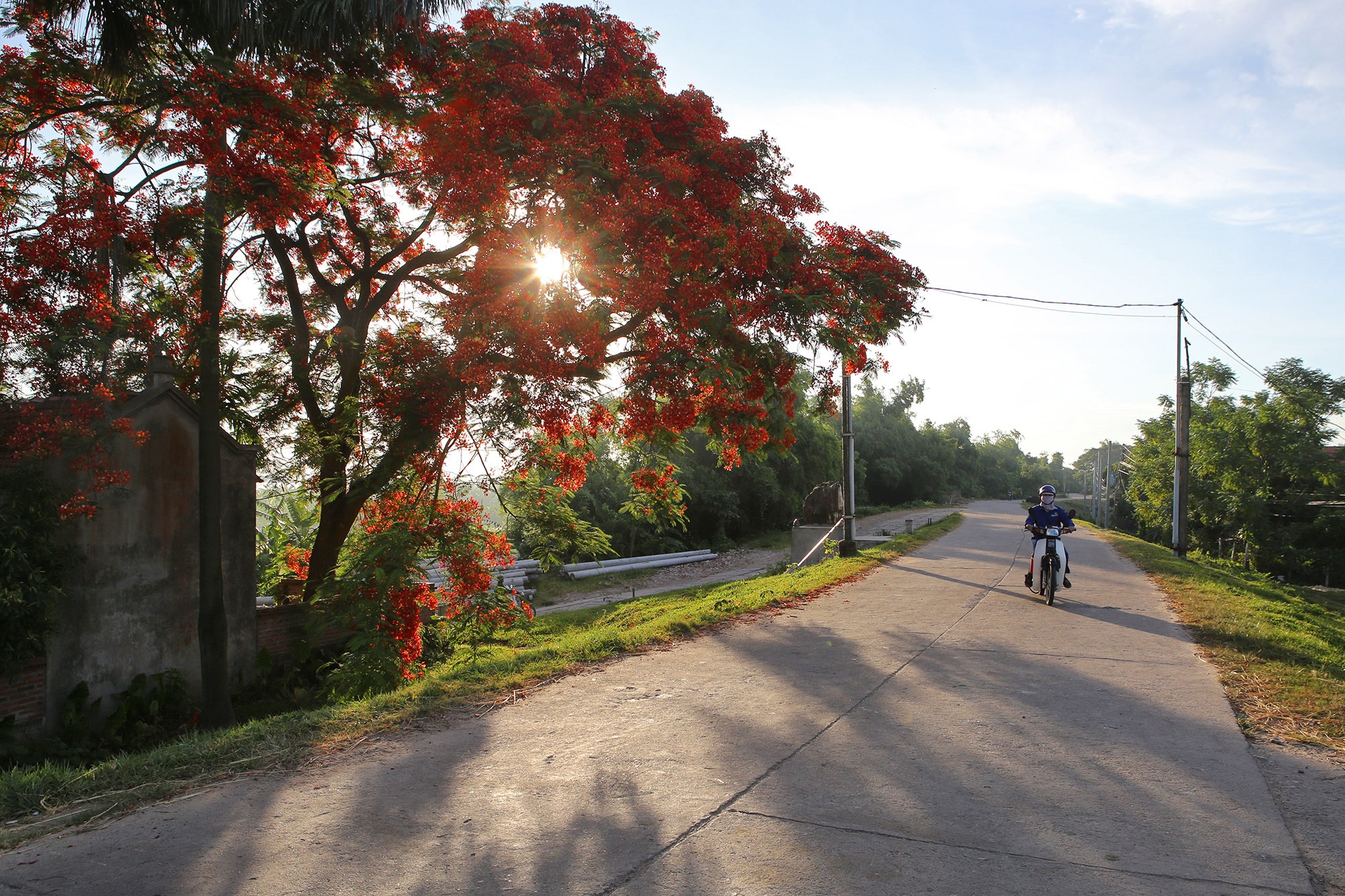 Phong cảnh bình yên nhìn từ những triền đê ở Hà Nội - 6 Phong cảnh bình yên nhìn từ những triền đê ở Hà Nội - 6