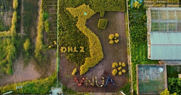 Độc đáo bản đồ Việt Nam ghép từ cây lúa ở Học viện Nông nghiệp - 2