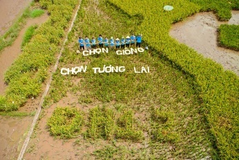 Độc đáo bản đồ Việt Nam ghép từ cây lúa ở Học viện Nông nghiệp - 5