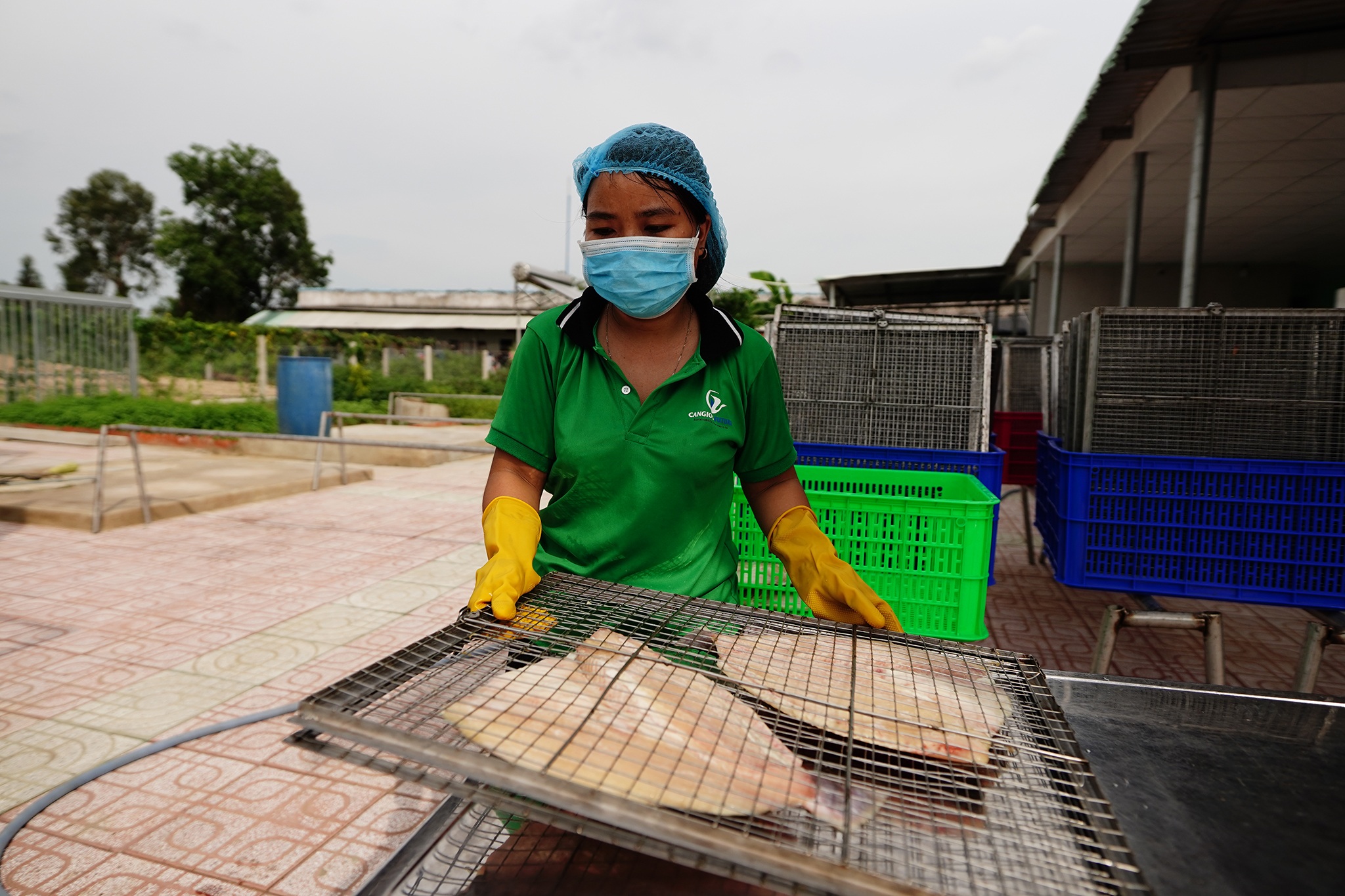Nông dân đổi đời, thu tiền tỉ mỗi năm nhờ nuôi cá trời cho - 10 Nông dân đổi đời, thu tiền tỉ mỗi năm nhờ nuôi cá trời cho - 10