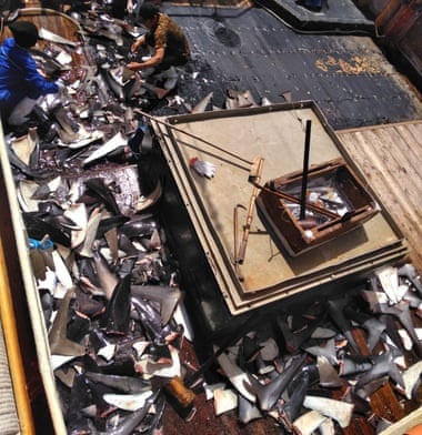 Thuyền viên Indonesia nói “bị đối xử như động vật” trên tàu cá Trung Quốc