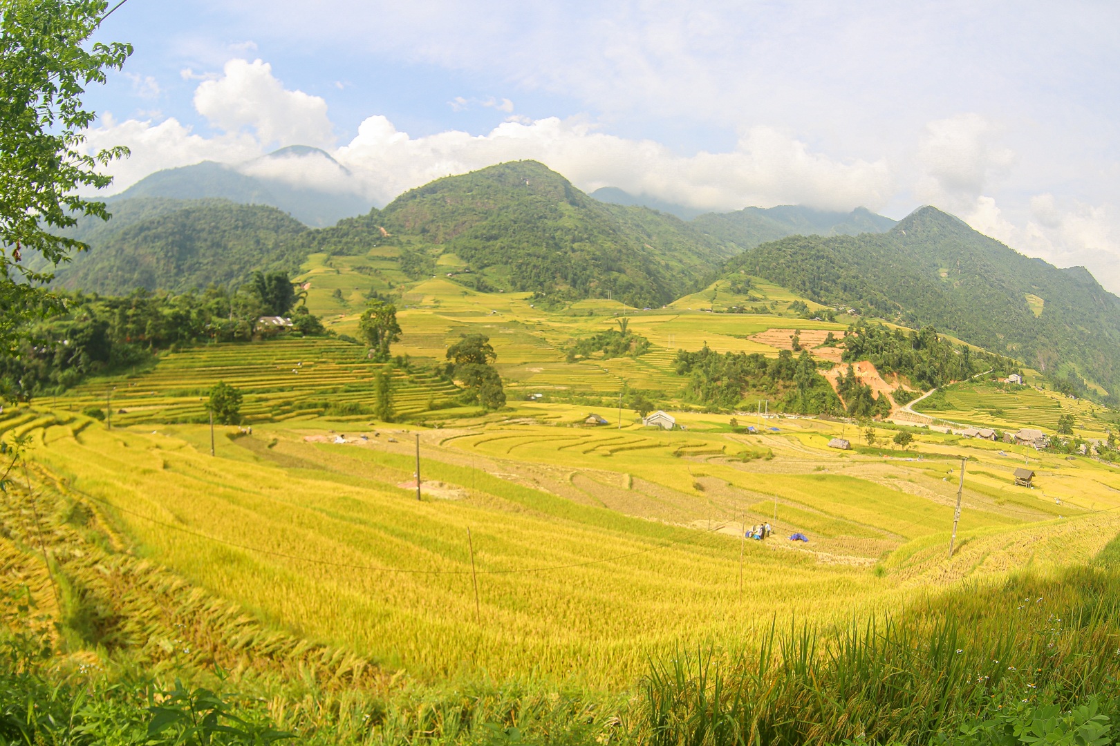 Đi săn mùa vàng ở Sa Pa - 2 Đi săn mùa vàng ở Sa Pa - 2