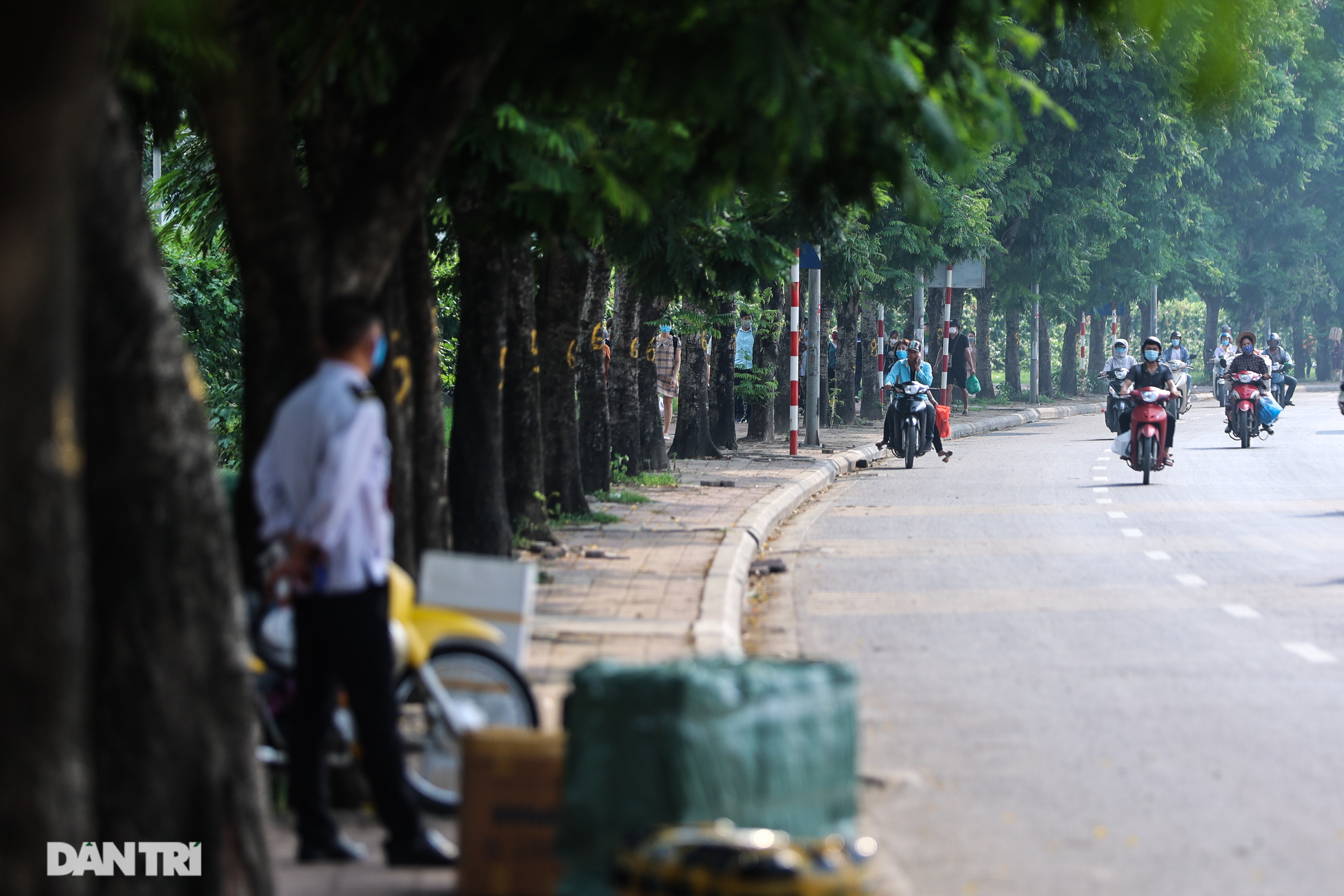 Hanoi: Birds of Prey Cling to Traffic Police and Secret Garage Phone Calls - 14