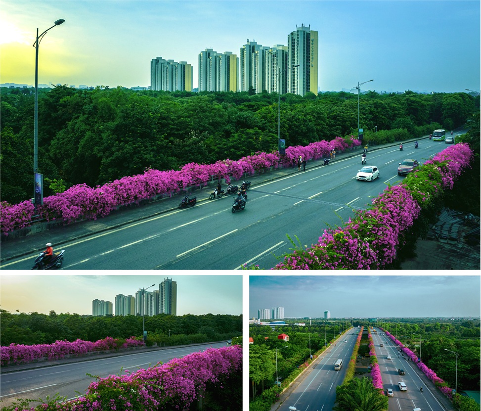 Ngắm thành phố xanh Ecopark đẹp mê mẩn trong mùa hoa giấy - 2 Ngắm thành phố xanh Ecopark đẹp mê mẩn trong mùa hoa giấy - 2