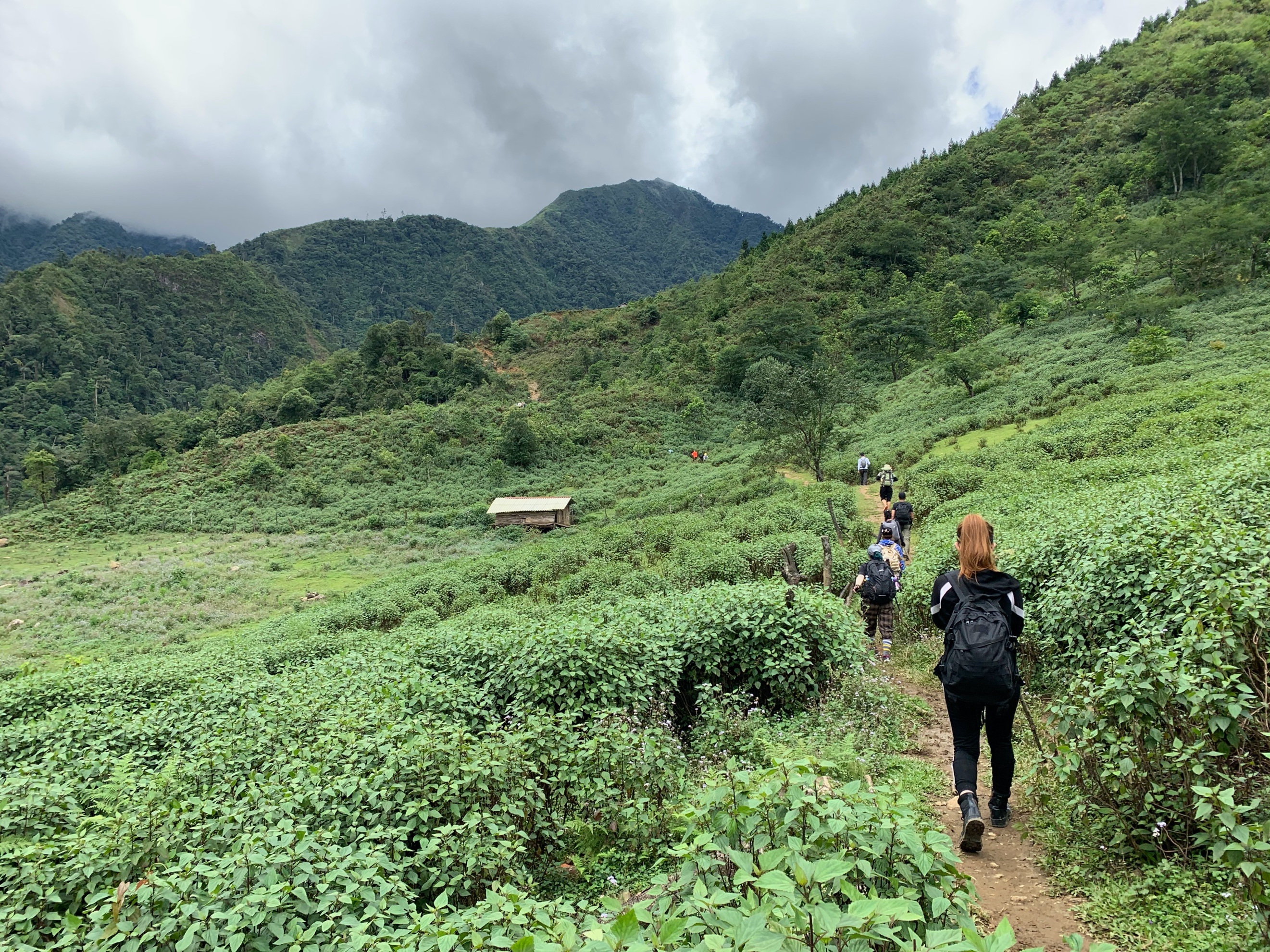 View - Săn mây, ngắm hoa chi pâu nở tại “thiên đường nơi hạ giới” Tà Chì Nhù | Báo Dân trí
