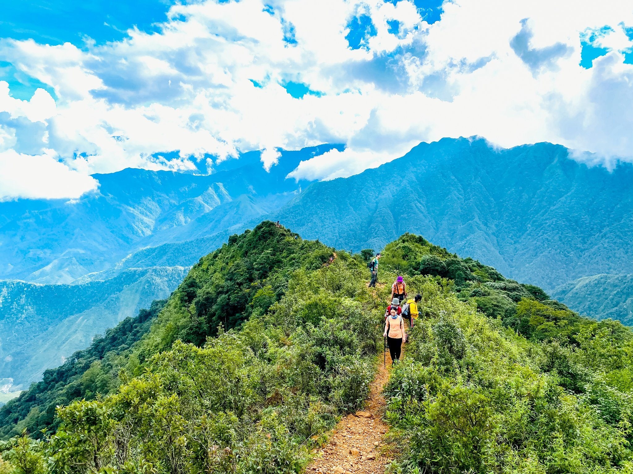 View - Săn mây, ngắm hoa chi pâu nở tại “thiên đường nơi hạ giới” Tà Chì Nhù | Báo Dân trí