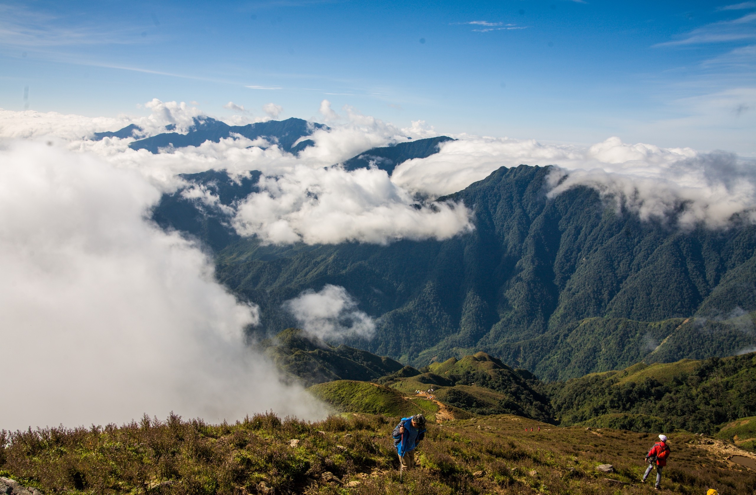 View - Săn mây, ngắm hoa chi pâu nở tại “thiên đường nơi hạ giới” Tà Chì Nhù | Báo Dân trí